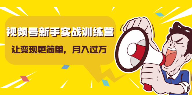 视频号新手实战训练营，让变现更简单，玩赚视频号，轻松月入过万-第一资源库