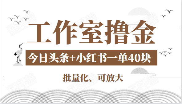 工作室撸金二件套：撸今日头条原创收益+小红书一单利润40块项目-第一资源库