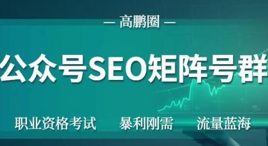 高鹏圈公众号SEO矩阵号群，实操20天纯收益25000+，普通人都能做-第一资源库