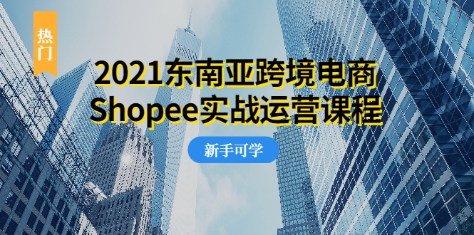 2021东南亚跨境电商Shopee实战运营课程，0基础、0经验、0投资的副业项目-第一资源库