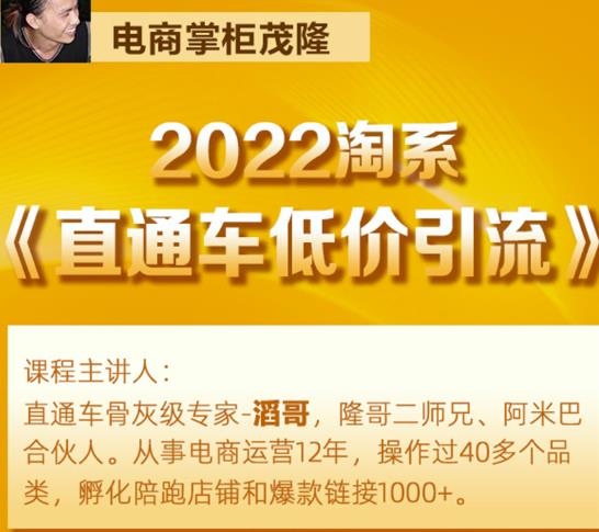 茂隆2022直通车低价引流玩法，教大家如何低投入高回报的直通车玩法-第一资源库