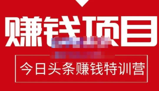 懒人领域·今日头条项目玩法，头条中视频项目，单号收益在50—500可批量-第一资源库