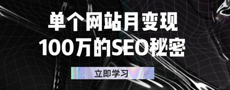 单个网站月变现100万的SEO秘密，百分百做出赚钱站点-第一资源库