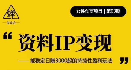 资料IP变现，能稳定日赚3000起的持续性盈利玩法-第一资源库