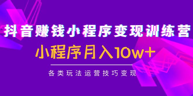 抖音赚钱小程序变现训练营：小程序月入10w+各类玩法运营技巧变现-第一资源库