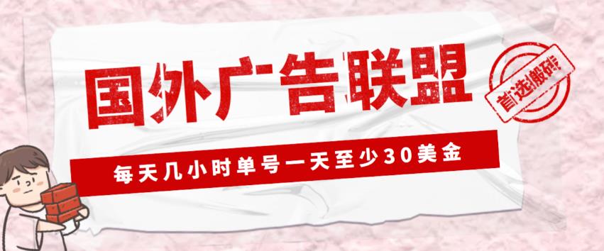 外面收费1980的最新国外LEAD广告联盟搬砖项目，单号一天至少30美金【详细玩法教程】-第一资源库