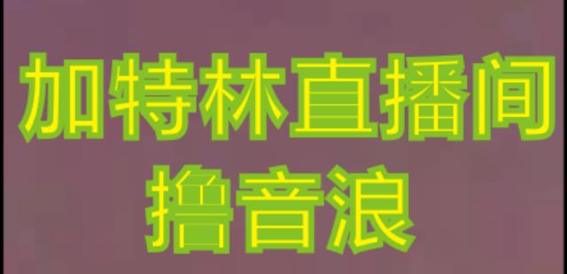 抖音加特林直播间搭建技术，抖音0粉开播，暴力撸音浪，2023新口子，每天800+【素材+详细教程】-第一资源库