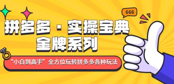 拼多多·实操宝典：金牌系列“小白到高手”带你全方位玩转拼多多各种玩法-第一资源库