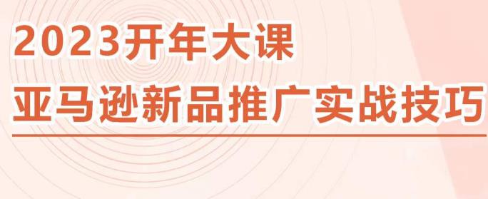 2023亚马逊新品推广实战技巧，线下百万美金课程的精简版，简单粗暴可复制，实操性强的推广手段-第一资源库