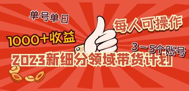 2023新细分领域带货计划：单号单日1000+收益不难，每人可操作3-5个账号-第一资源库