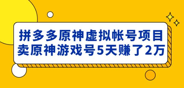 外面卖2980的拼多多原神虚拟帐号项目：卖原神游戏号5天赚了2万-第一资源库