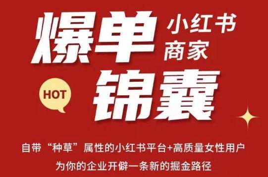 无畏·小红书商家爆单锦囊，掌握小红书各大规则，快速精准抢占行业和市场-第一资源库