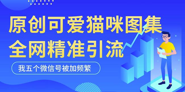 黑科技纯原创可爱猫咪图片，全网精准引流，实操5个VX号被加频繁-第一资源库