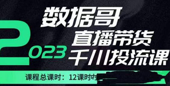 数据哥2023直播电商巨量千川付费投流实操课，快速掌握直播带货运营投放策略-第一资源库