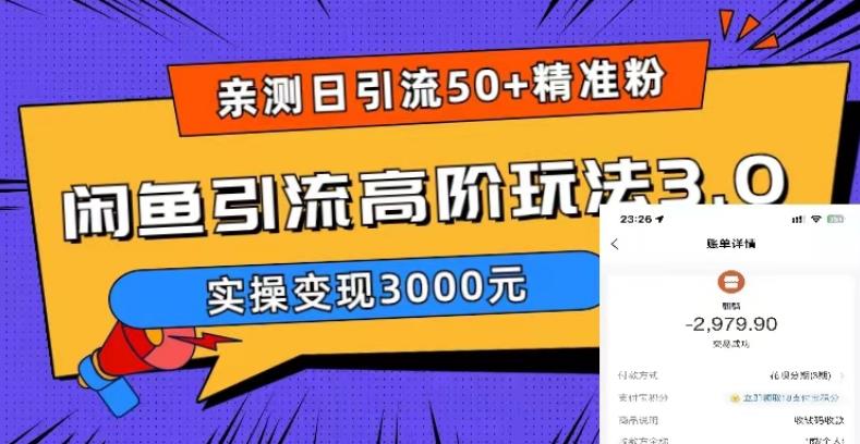 亲测日引50+精准粉，闲鱼引流高阶玩法3.0，实操变现3000元【揭秘】-第一资源库