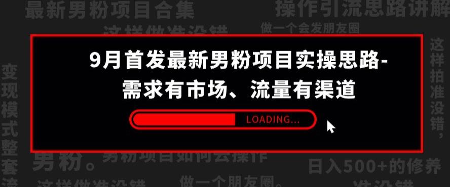 9月首发最新男粉项目实操思路-需求有市场，流量有渠道【揭秘】-第一资源库