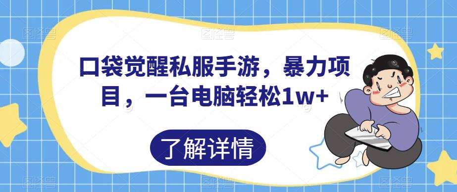 口袋觉醒私服手游，暴力项目，一台电脑轻松1w+【揭秘】-第一资源库