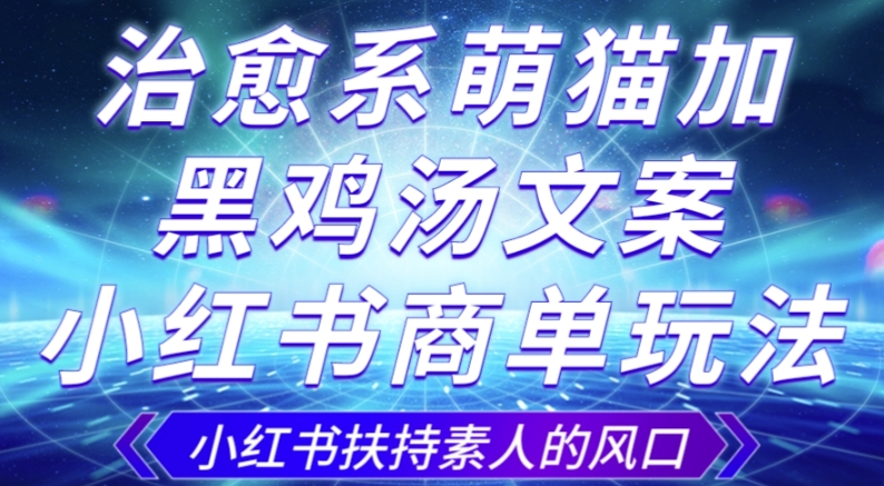 治愈系萌猫加+黑鸡汤文案，小红书商单玩法，3~10天涨到1000粉，一单200左右-第一资源库