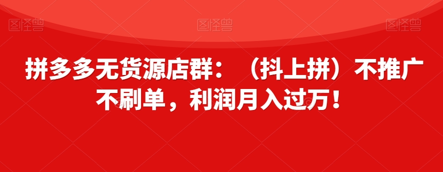 拼多多无货源店群：（抖上拼）不推广不刷单，利润月入过万！【揭秘】-第一资源库