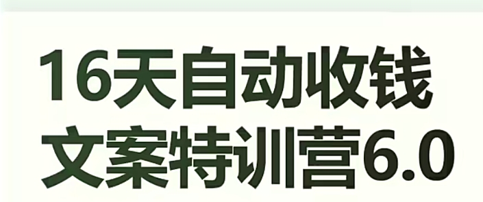 16天自动收钱文案特训营6.0，学会儿每天自动咔咔收钱-第一资源库