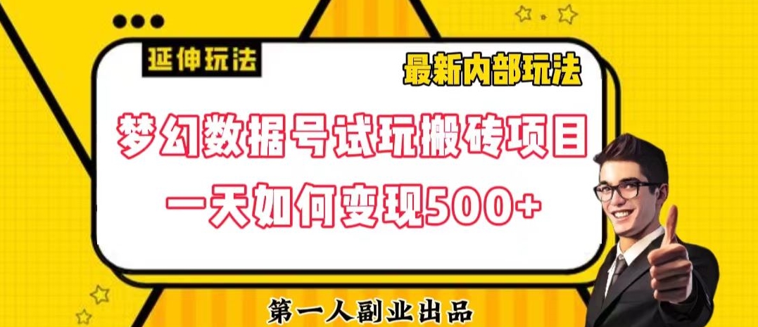 数据号回归玩法游戏试玩搬砖项目再创日入500+【揭秘】-第一资源库