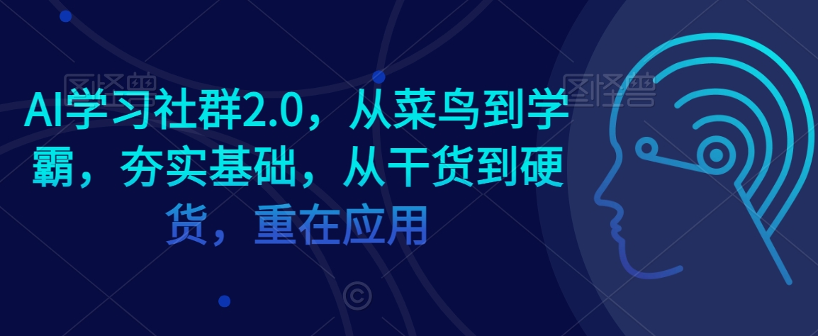 AI学习社群2.0，从菜鸟到学霸，夯实基础，从干货到硬货，重在应用-第一资源库