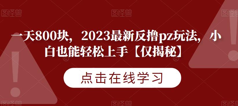 一天800块，2023最新反撸pz玩法，小白也能轻松上手【仅揭秘】-第一资源库