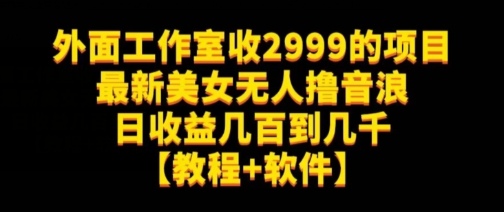 外面工作室收2999的项目最新美女无人撸音浪日收益几百到几千【教程+软件】（仅揭秘）-第一资源库