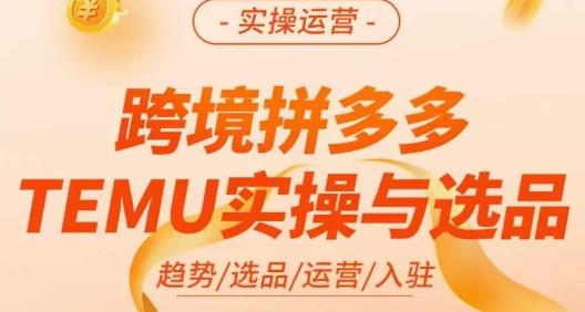 伍跃·跨境拼多多TEMU实操与选品，​趋势/选品/运营/入住（27节完整）-第一资源库