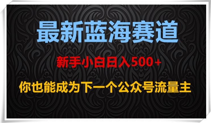 最新蓝海赛道，新手小白日入500+，你也能成为下一个公众号流量主【揭秘】-第一资源库