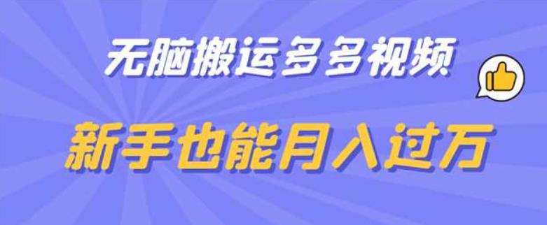 无脑搬运多多视频，新手也能月入过万【揭秘】-第一资源库