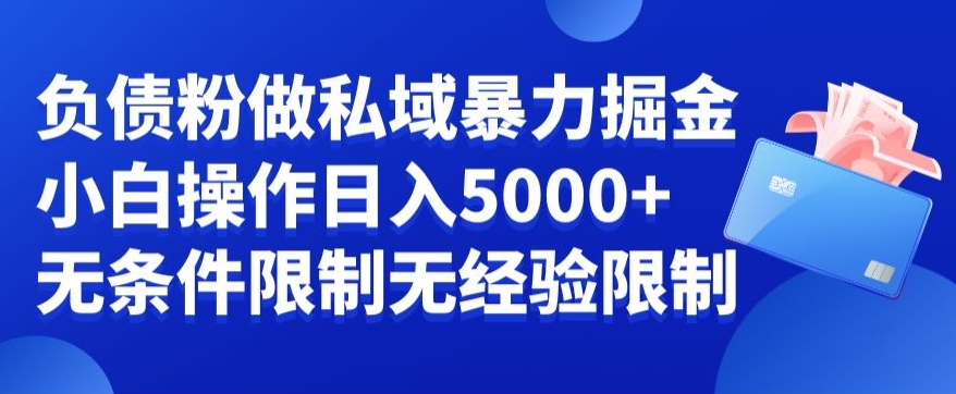 负债粉私域暴力掘金，小白操作入5000，无经验限制，无条件限制【揭秘】-第一资源库