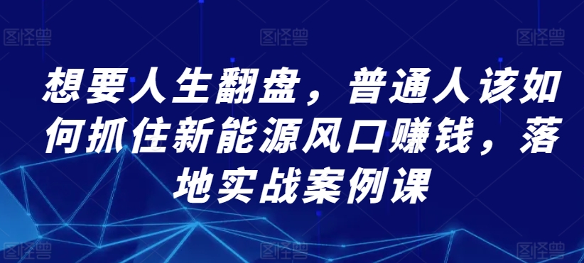 想要人生翻盘，普通人该如何抓住新能源风口赚钱，落地实战案例课-第一资源库