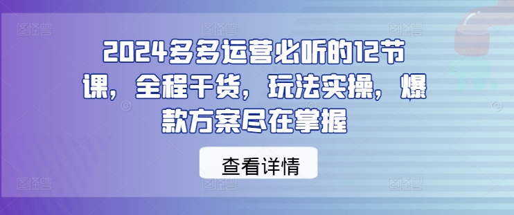 2024多多运营必听的12节课，全程干货，玩法实操，爆款方案尽在掌握-第一资源库