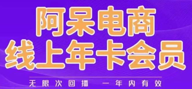 阿呆电商线上年会员，阿呆电商干货分享（更新中）-第一资源库