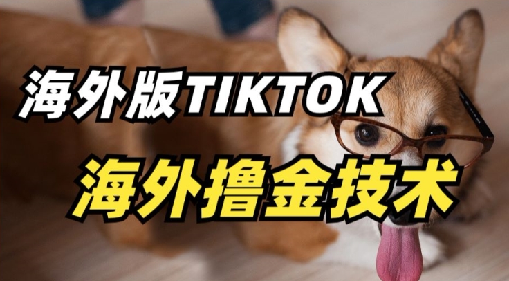 抖音海外版tiktok撸金技术，这个风口行业，赚钱真的不难【揭秘】-第一资源库