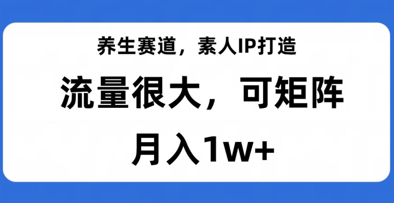 养生赛道，素人IP打造，流量很大，可矩阵，月入1w+【揭秘】-第一资源库