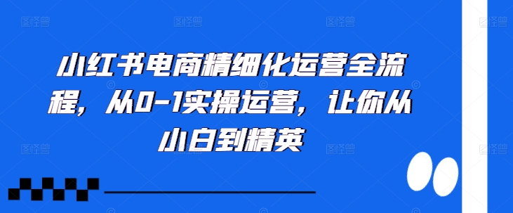 小红书电商精细化运营全流程，从0-1实操运营，让你从小白到精英-第一资源库