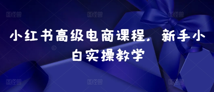 小红书高级电商课程，新手小白实操教学-第一资源库