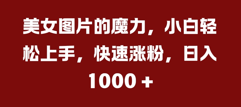 美女图片的魔力，小白轻松上手，快速涨粉，日入几张【揭秘】-第一资源库