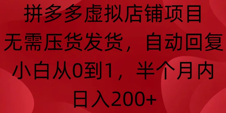 拼多多虚拟店铺项目，无需压货发货，自动回复，小白从0到1，半个月内日入200+【揭秘】-第一资源库