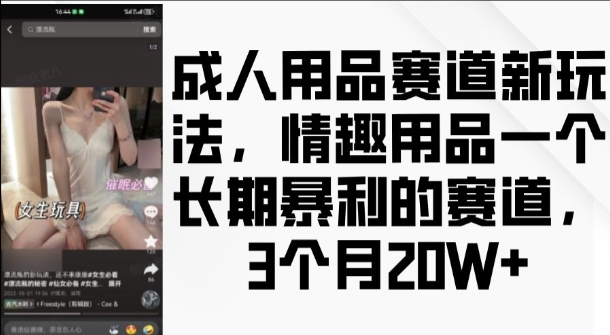 成人用品赛道新玩法，情趣用品一个长期暴利的赛道，3个月收益20个【揭秘】-第一资源库