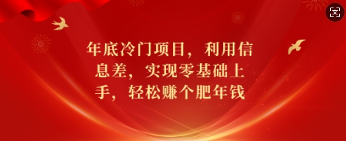 年底冷门项目，利用信息差，实现零基础上手，轻松赚个肥年钱【揭秘】-第一资源库