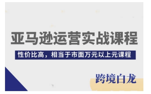 亚马逊运营实战课程，亚马逊从入门到精通，性价比高，相当于市面万元以上元课程-第一资源库